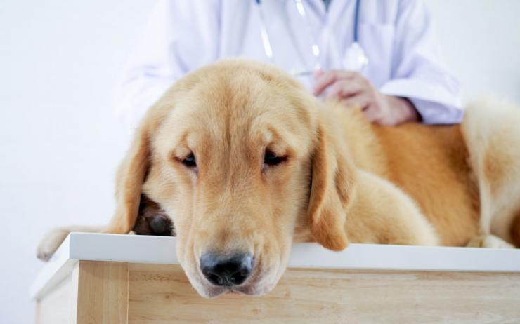 Hallo und herzlich willkommen bei ANiFiT M. Hauser ANiFiT Berater